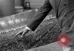 Image of Harry Bacharach Atlantic City New Jersey USA, 1935, second 24 stock footage video 65675042764