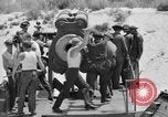 Standbild Eisenbahn Küste Verteidigung Pistolen Virginia Beach Virginia USA, 1935, aus Sekunde 40 historischem Filmmaterial Videoclip 65675042770