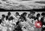 Image of Daffodils Tacoma Washington USA, 1936, second 34 stock footage video 65675042778
