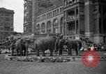 Image of Ringling Brothers Barnum and Bailey circus New York United States USA, 1936, second 14 stock footage video 65675042780
