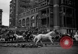 Image of Ringling Brothers Barnum and Bailey circus New York United States USA, 1936, second 58 stock footage video 65675042780