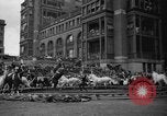 Image of Ringling Brothers Barnum and Bailey circus New York United States USA, 1936, second 61 stock footage video 65675042780