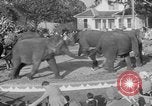 Standbild Ringling Barnum and Bailey Circus Sarasota Florida USA, 1938, aus Sekunde 27 historischem Filmmaterial Videoclip 65675042787