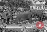 Standbild Ringling Barnum and Bailey Circus Sarasota Florida USA, 1938, aus Sekunde 30 historischem Filmmaterial Videoclip 65675042787