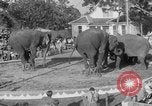 Standbild Ringling Barnum and Bailey Circus Sarasota Florida USA, 1938, aus Sekunde 32 historischem Filmmaterial Videoclip 65675042787