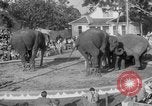 Standbild Ringling Barnum and Bailey Circus Sarasota Florida USA, 1938, aus Sekunde 33 historischem Filmmaterial Videoclip 65675042787