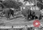 Standbild Ringling Barnum and Bailey Circus Sarasota Florida USA, 1938, aus Sekunde 34 historischem Filmmaterial Videoclip 65675042787