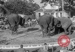 Standbild Ringling Barnum and Bailey Circus Sarasota Florida USA, 1938, aus Sekunde 35 historischem Filmmaterial Videoclip 65675042787