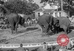 Standbild Ringling Barnum and Bailey Circus Sarasota Florida USA, 1938, aus Sekunde 36 historischem Filmmaterial Videoclip 65675042787