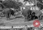 Standbild Ringling Barnum and Bailey Circus Sarasota Florida USA, 1938, aus Sekunde 37 historischem Filmmaterial Videoclip 65675042787