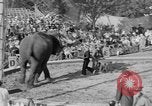 Standbild Ringling Barnum and Bailey Circus Sarasota Florida USA, 1938, aus Sekunde 41 historischem Filmmaterial Videoclip 65675042787