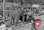 Standbild Ringling Barnum and Bailey Circus Sarasota Florida USA, 1938, aus Sekunde 42 historischem Filmmaterial Videoclip 65675042787
