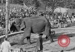 Standbild Ringling Barnum and Bailey Circus Sarasota Florida USA, 1938, aus Sekunde 43 historischem Filmmaterial Videoclip 65675042787