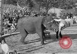 Standbild Ringling Barnum and Bailey Circus Sarasota Florida USA, 1938, aus Sekunde 45 historischem Filmmaterial Videoclip 65675042787