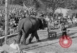 Standbild Ringling Barnum and Bailey Circus Sarasota Florida USA, 1938, aus Sekunde 46 historischem Filmmaterial Videoclip 65675042787