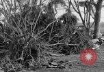 Standbild Ablagerungen Belleville Illinois USA, 1938, aus Sekunde 43 historischem Filmmaterial Videoclip 65675042788