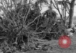Standbild Ablagerungen Belleville Illinois USA, 1938, aus Sekunde 46 historischem Filmmaterial Videoclip 65675042788