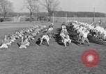 Immagine di Notre Dame football team South Bend Indiana USA, 1938, secondo 11 filmato di repertorio 65675042790