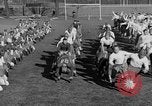 Immagine di Notre Dame football team South Bend Indiana USA, 1938, secondo 12 filmato di repertorio 65675042790