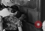 Immagine di Il modo più semplice cavallo Coral Gables Florida USA, 1938, secondo 17 filmato di repertorio 65675042791