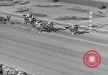 Immagine di Il modo più semplice cavallo Coral Gables Florida USA, 1938, secondo 35 filmato di repertorio 65675042791