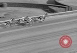 Immagine di Il modo più semplice cavallo Coral Gables Florida USA, 1938, secondo 42 filmato di repertorio 65675042791