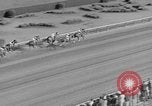 Immagine di Il modo più semplice cavallo Coral Gables Florida USA, 1938, secondo 44 filmato di repertorio 65675042791
