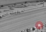 Immagine di Il modo più semplice cavallo Coral Gables Florida USA, 1938, secondo 45 filmato di repertorio 65675042791