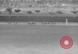 Immagine di Il modo più semplice cavallo Coral Gables Florida USA, 1938, secondo 57 filmato di repertorio 65675042791