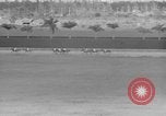 Immagine di Il modo più semplice cavallo Coral Gables Florida USA, 1938, secondo 58 filmato di repertorio 65675042791