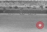 Immagine di Il modo più semplice cavallo Coral Gables Florida USA, 1938, secondo 60 filmato di repertorio 65675042791