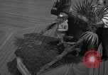 Image of children's parade on the boardwalk Ocean City New Jersey USA, 1939, second 12 stock footage video 65675042797