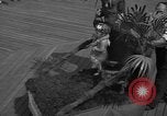 Image of children's parade on the boardwalk Ocean City New Jersey USA, 1939, second 13 stock footage video 65675042797