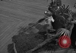 Image of children's parade on the boardwalk Ocean City New Jersey USA, 1939, second 14 stock footage video 65675042797