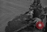 Image of children's parade on the boardwalk Ocean City New Jersey USA, 1939, second 15 stock footage video 65675042797