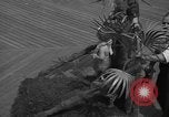 Image of children's parade on the boardwalk Ocean City New Jersey USA, 1939, second 16 stock footage video 65675042797