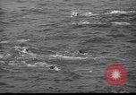 Standbild Walter Stewart La Jolla California USA, 1939, aus Sekunde 43 historischem Filmmaterial Videoclip 65675042800