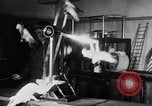 Standbild Kakadus Philadelphia Pennsylvania USA, 1930, aus Sekunde 12 historischem Filmmaterial Videoclip 65675042804