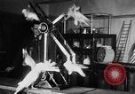Standbild Kakadus Philadelphia Pennsylvania USA, 1930, aus Sekunde 13 historischem Filmmaterial Videoclip 65675042804