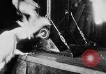 Standbild Kakadus Philadelphia Pennsylvania USA, 1930, aus Sekunde 17 historischem Filmmaterial Videoclip 65675042804