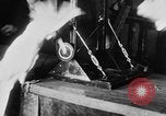 Standbild Kakadus Philadelphia Pennsylvania USA, 1930, aus Sekunde 20 historischem Filmmaterial Videoclip 65675042804