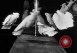 Standbild Kakadus Philadelphia Pennsylvania USA, 1930, aus Sekunde 23 historischem Filmmaterial Videoclip 65675042804