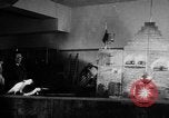 Standbild Kakadus Philadelphia Pennsylvania USA, 1930, aus Sekunde 29 historischem Filmmaterial Videoclip 65675042804