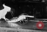 Standbild Kakadus Philadelphia Pennsylvania USA, 1930, aus Sekunde 30 historischem Filmmaterial Videoclip 65675042804