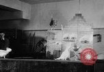 Standbild Kakadus Philadelphia Pennsylvania USA, 1930, aus Sekunde 31 historischem Filmmaterial Videoclip 65675042804