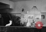 Standbild Kakadus Philadelphia Pennsylvania USA, 1930, aus Sekunde 32 historischem Filmmaterial Videoclip 65675042804