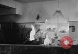 Standbild Kakadus Philadelphia Pennsylvania USA, 1930, aus Sekunde 34 historischem Filmmaterial Videoclip 65675042804