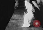 Standbild Kakadus Philadelphia Pennsylvania USA, 1930, aus Sekunde 43 historischem Filmmaterial Videoclip 65675042804