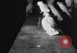Standbild Kakadus Philadelphia Pennsylvania USA, 1930, aus Sekunde 44 historischem Filmmaterial Videoclip 65675042804