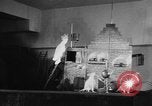 Standbild Kakadus Philadelphia Pennsylvania USA, 1930, aus Sekunde 47 historischem Filmmaterial Videoclip 65675042804